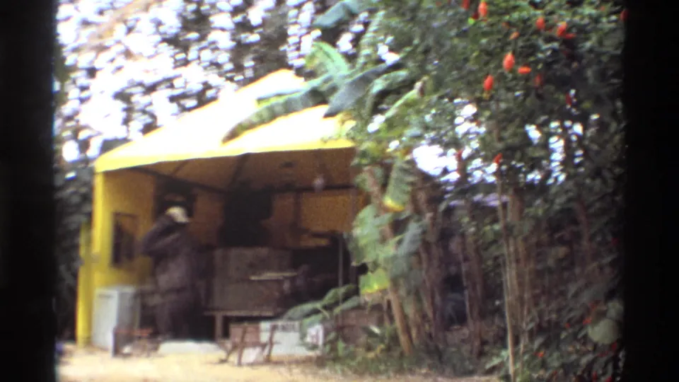 A yellow tented kiosk or display area appears among tropical plants in the 1974 Orlando home-movie footage.