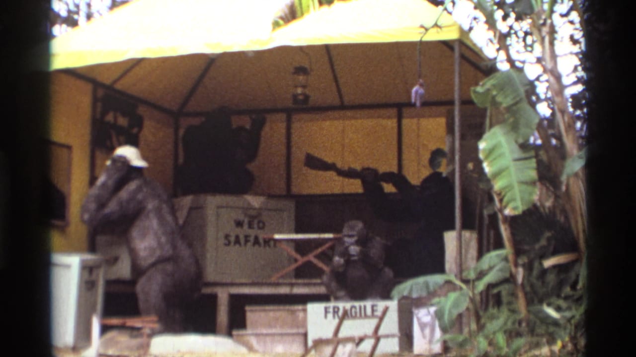 1974 Orlando home-movie frame with gorilla figures, a yellow tent, WED SAFARI lettering, and a FRAGILE sign.