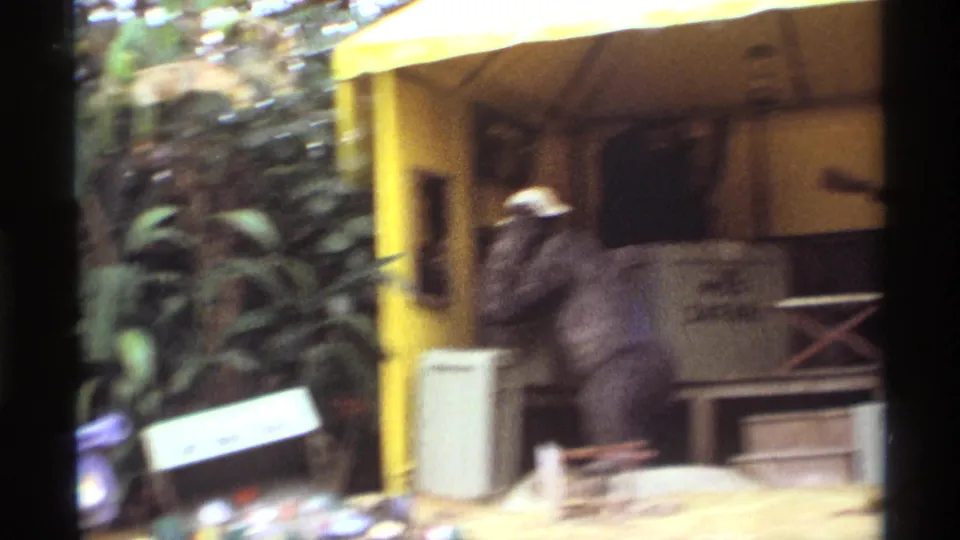 1974 Orlando 8mm frame with motion blur as the camera passes a yellow tent, gorilla figure, signage, and foliage.
