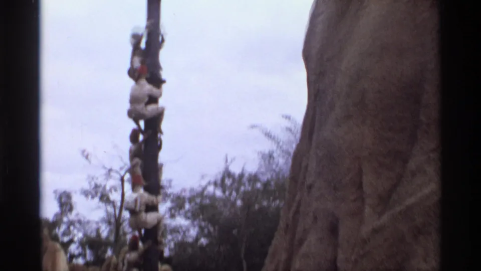 1974 Orlando frame showing stacked small figures or props on a vertical element near a large tree trunk and treetops.