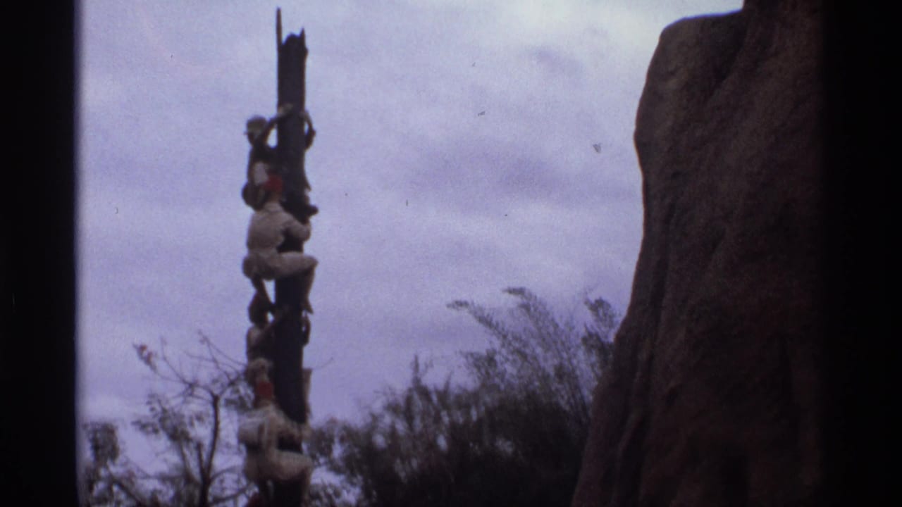 1974 Orlando home-movie frame showing figures on a tall decorative pole against an overcast sky, with trees and a rock-like structure nearby.
