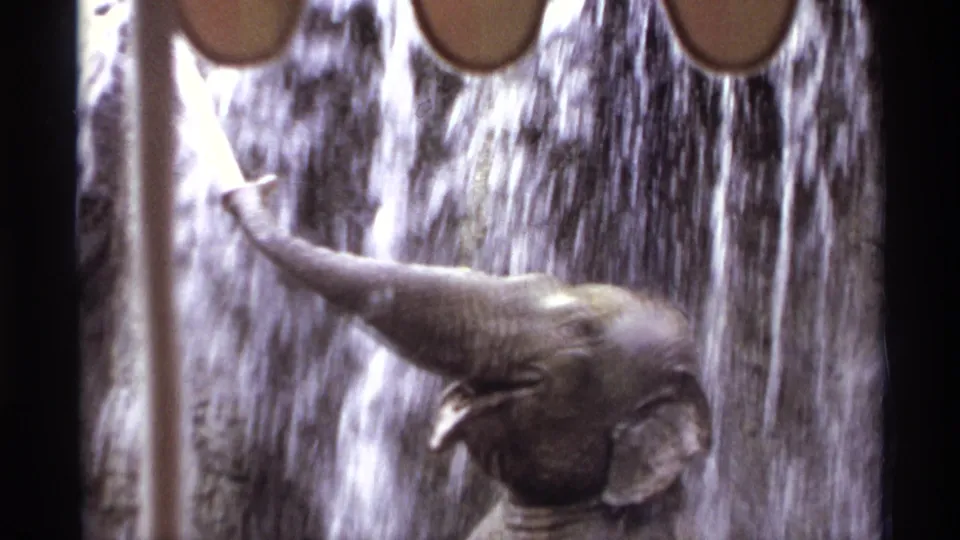 1974 Orlando 8mm frame of a young elephant beneath cascading fountain water, with exhibit structure visible above.