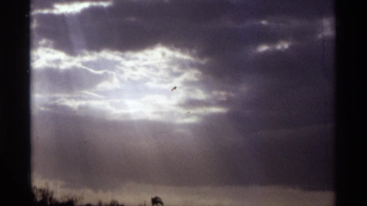 Bright sun rays breaking through dark clouds above a low tree-lined horizon.