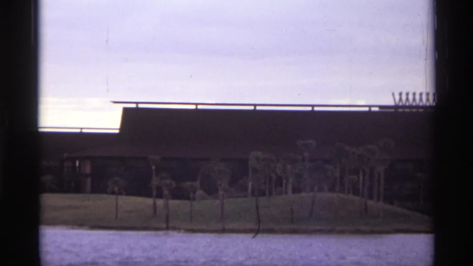 1974 Orlando frame with a long dark-roofed building behind a palm-lined grassy shore, seen across water under an overcast sky.