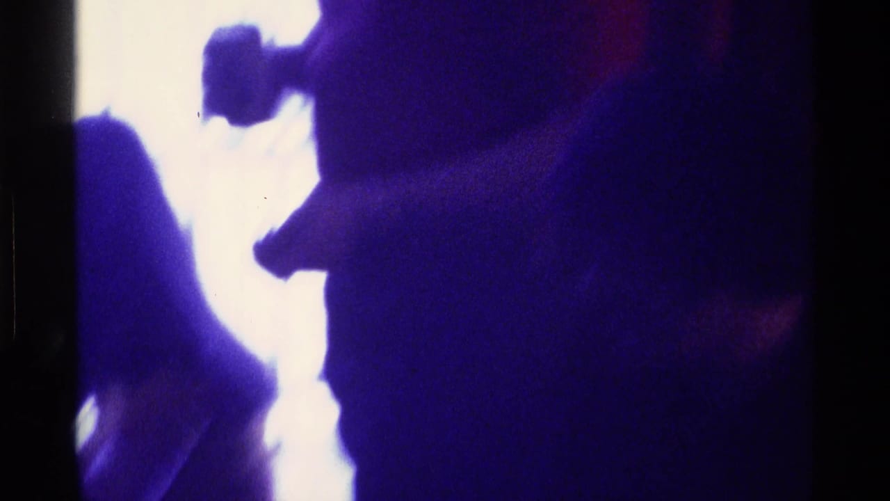 Dark cat-like silhouette and a person-shaped shadow in a bright, overexposed doorway or room edge.