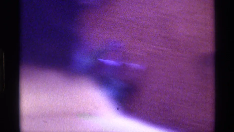 1976 Kentucky home-movie frame with a blurred dark cat-like shape moving across a warm brown interior surface.