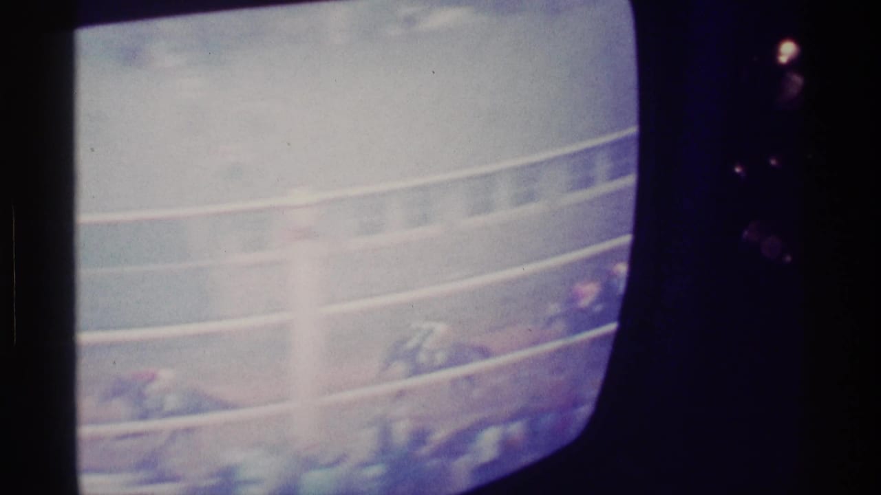 Curved television screen showing a horse race broadcast in soft focus.
