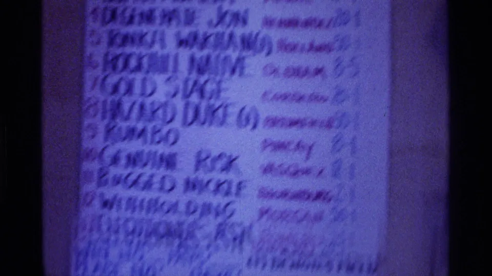 Soft-focus 8mm frame of the handwritten horse racing chart, with the right side blurred and tinted purple.