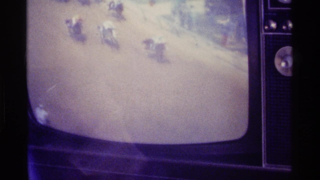 Close view of a television screen with indistinct figures in snow.
