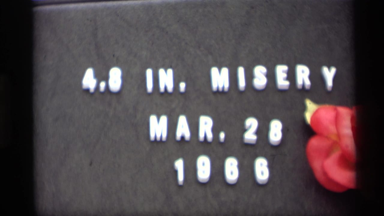 Title card reading 4.8 IN. MISERY MAR. 28 1966 beside a red flower.