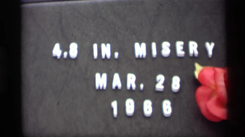 1966 Madison home-movie title card reading 4.8 IN. MISERY MAR. 28 1966, with a red flower at the right edge.