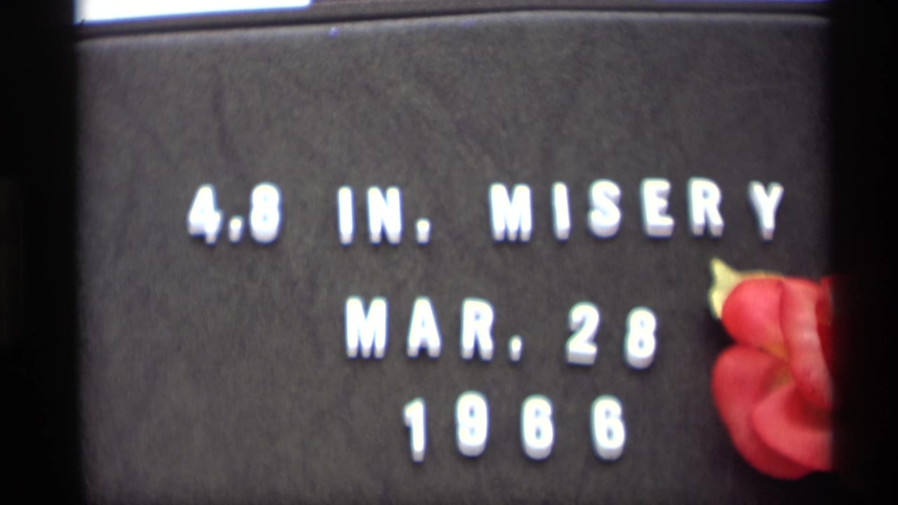 Second view of the snow title card with white letters and a red flower.