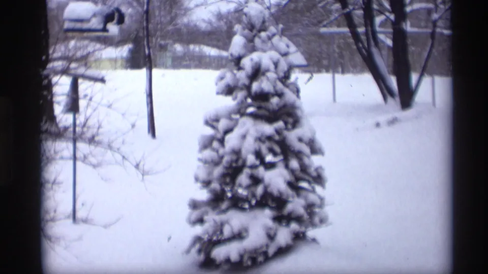 Snow blankets an evergreen and surrounding yard in Madison, Wisconsin, in a 1966 8mm home-movie view after the title card.