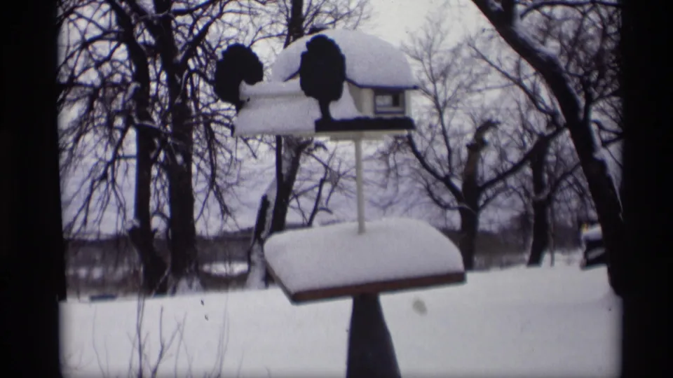 1966 Madison winter frame showing snow-capped bird feeders among bare trees in a quiet residential yard.