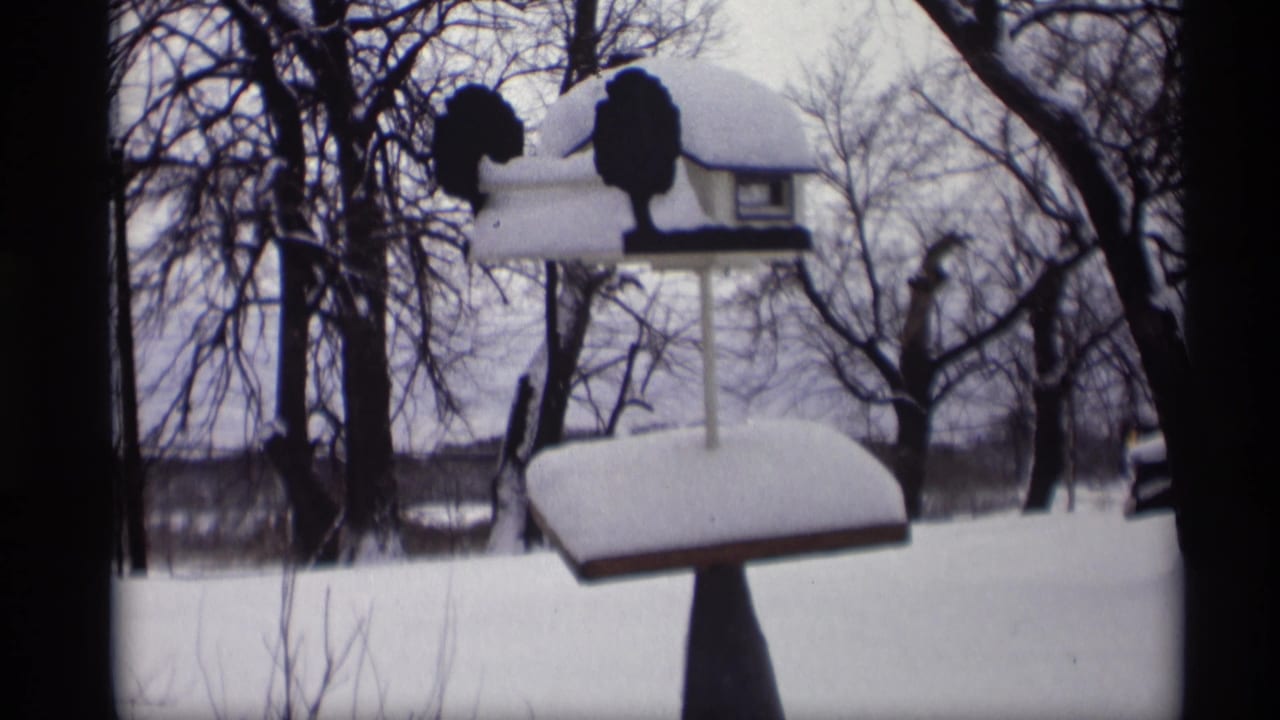 1966 Madison home-movie frame showing a snow-capped decorative bird feeder in a quiet winter yard.