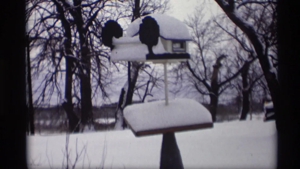 1966 Madison home-movie frame showing a snow-capped decorative bird feeder in a quiet winter yard.