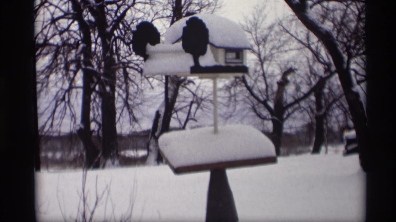 Decorative bird feeder topped with snow, framed by leafless trees.