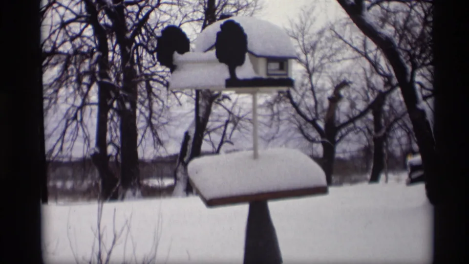Snowy 1966 Madison yard view with a house-shaped bird feeder and leafless trees in soft 8mm focus.