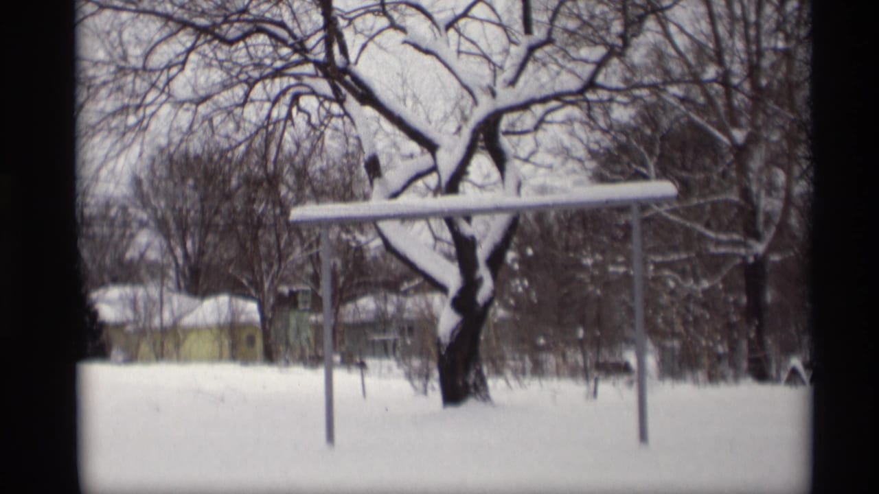 Snowy yard view with tree branches, a metal frame, and a house beyond the snow.