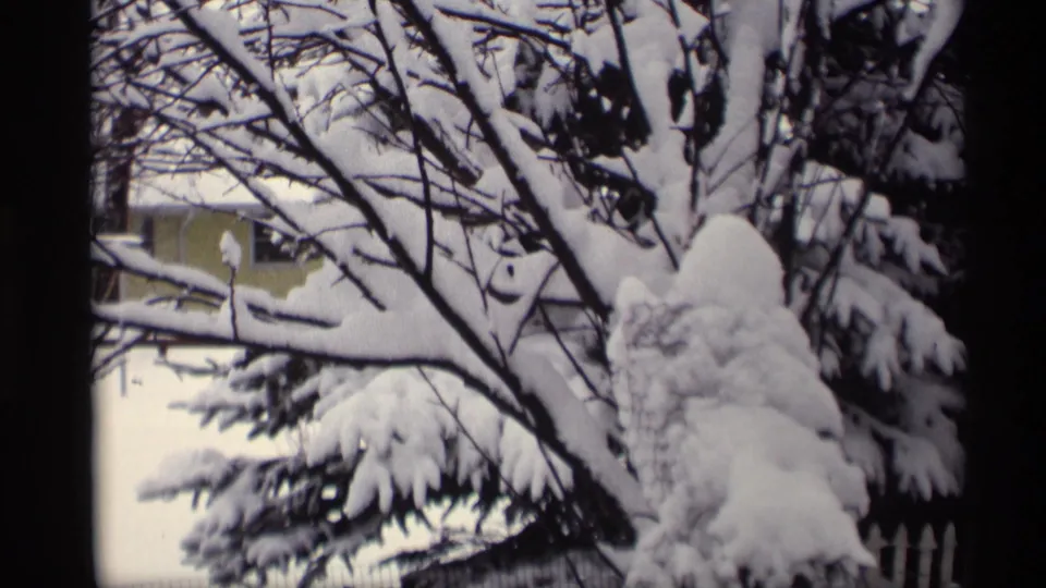 1966 Madison, Wisconsin 8mm frame showing heavy snow on evergreen boughs and bare branches, with a yellow house and fence partly visible.