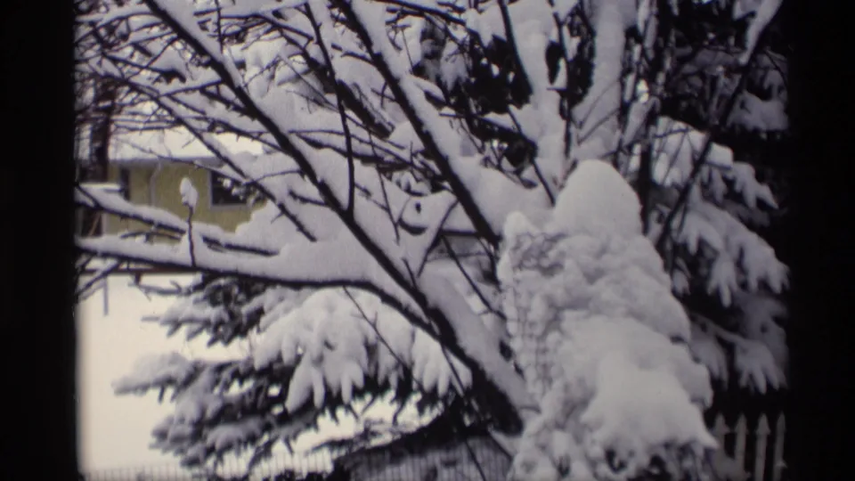 1966 Madison, Wisconsin home-movie frame with dense snow on evergreen boughs and bare tree limbs, partly obscuring a yellow house.