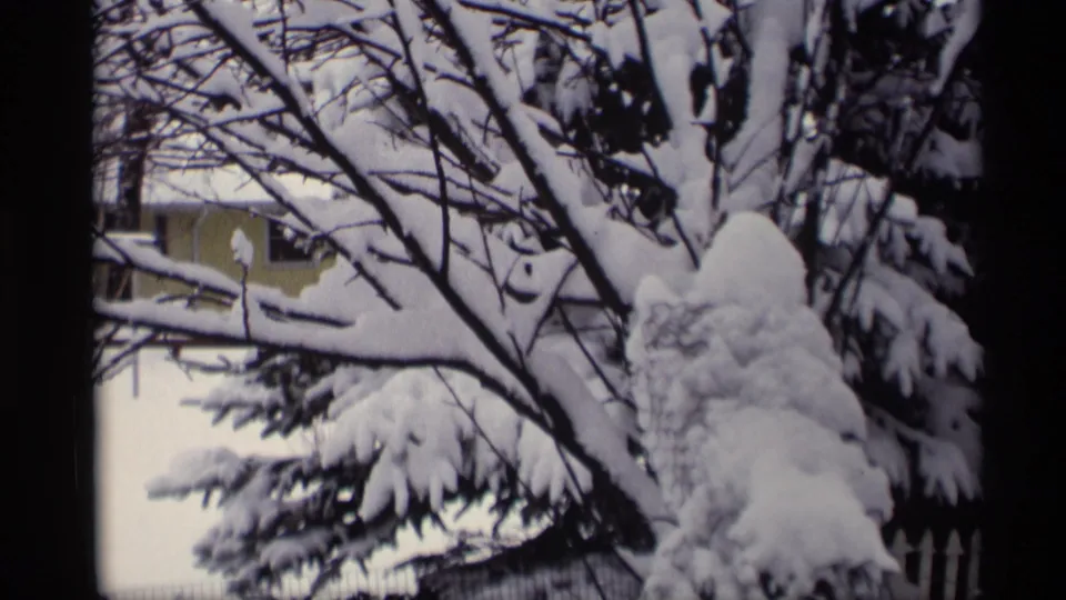 1966 Madison, Wisconsin home-movie frame showing heavy snow on evergreen branches, with bare limbs and part of a yellow house behind.
