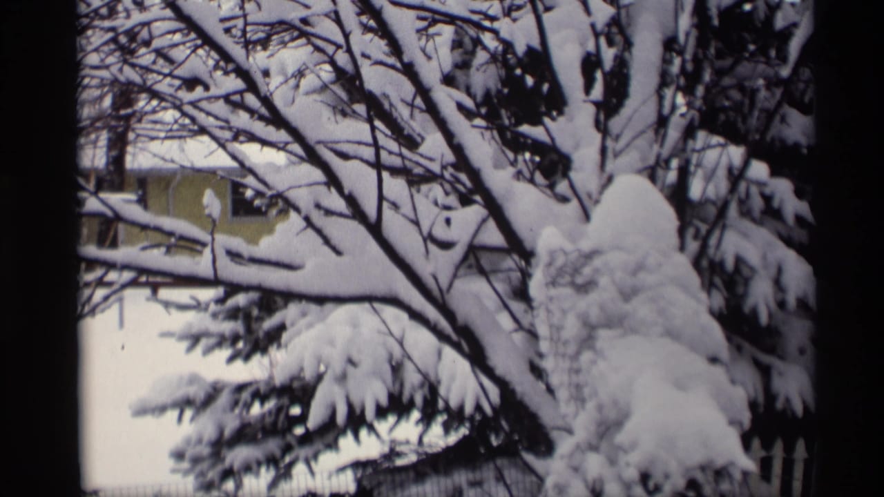 Heavy snow on evergreen branches with a house and fence partly visible in the background.