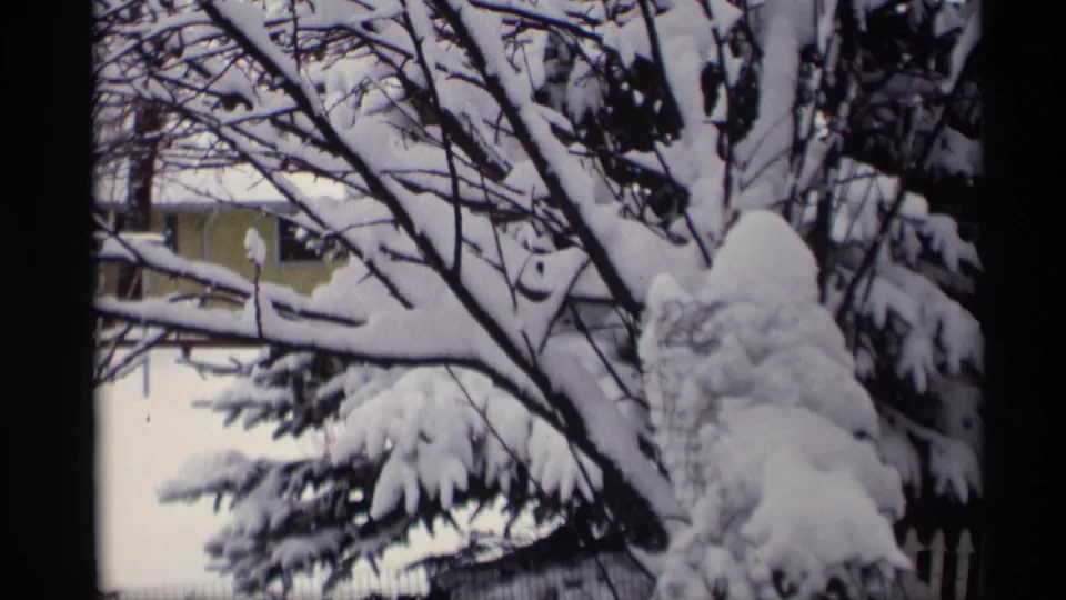 1966 Madison, Wisconsin frame with snow-laden evergreen branches, a yellow house, and hints of a white fence behind the tree.
