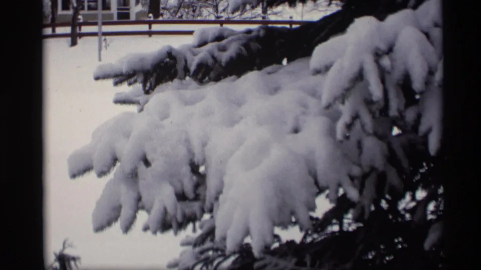 1966 Madison, Wisconsin home-movie frame looking across thick snow on evergreen boughs toward a white fence and house windows.
