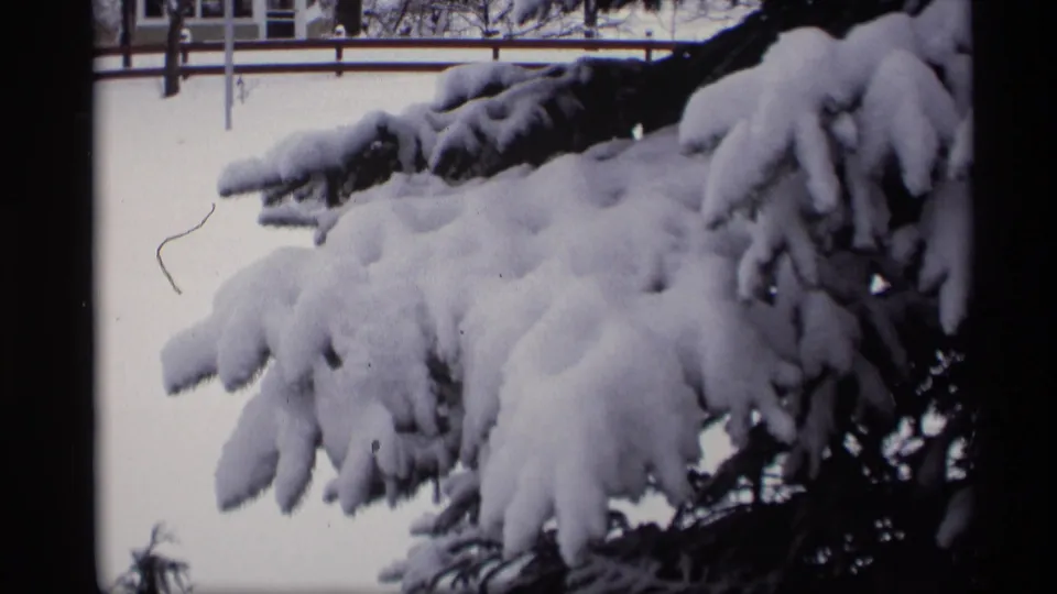 1966 Madison, Wisconsin frame showing dense snow on evergreen branches, with a white fence, snowy yard, and house in the background.