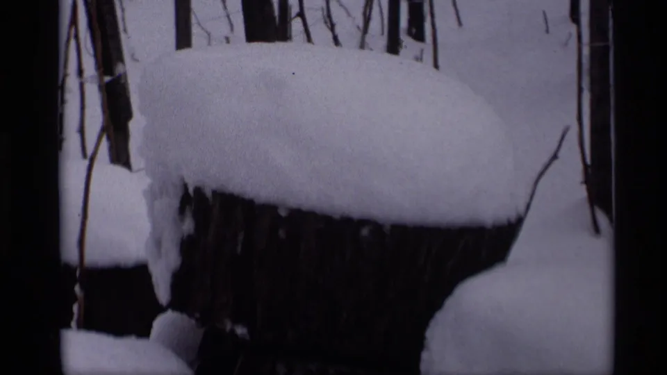 1966 Madison home-movie frame showing a thick cap of snow on a tree stump among bare winter branches.