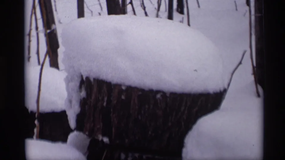 Snow blankets a cut stump in Madison, Wisconsin, with bare branches behind it in this 1966 8mm frame.