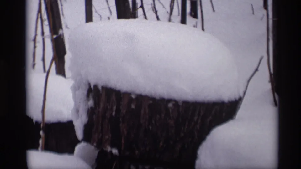 A thick snow layer sits on a dark cut stump, framed by bare branches and the edges of the 8mm scan.