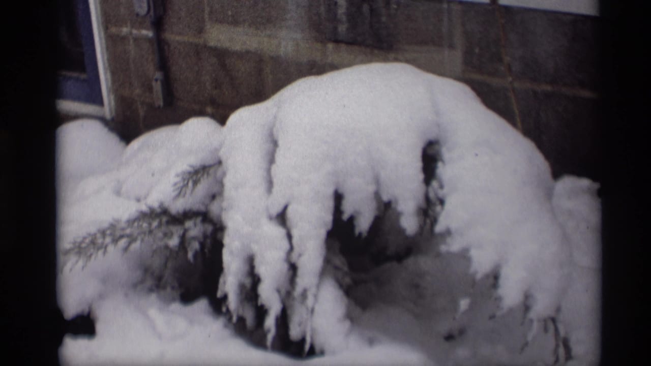 Heavy snow blankets evergreen branches near a masonry wall in archival 8mm winter footage from the supplied Wisconsin reel.