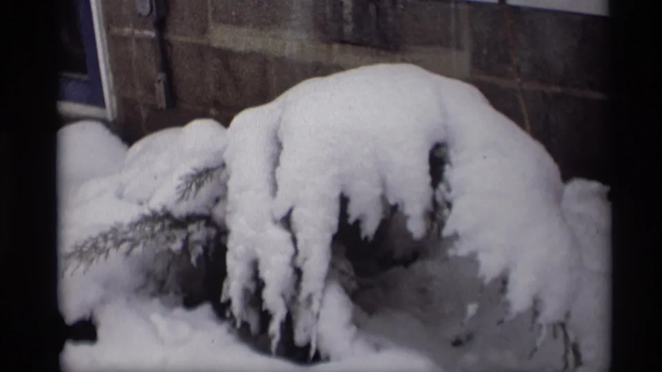 Heavy snow blankets evergreen branches near a masonry wall in archival 8mm winter footage from the supplied Wisconsin reel.