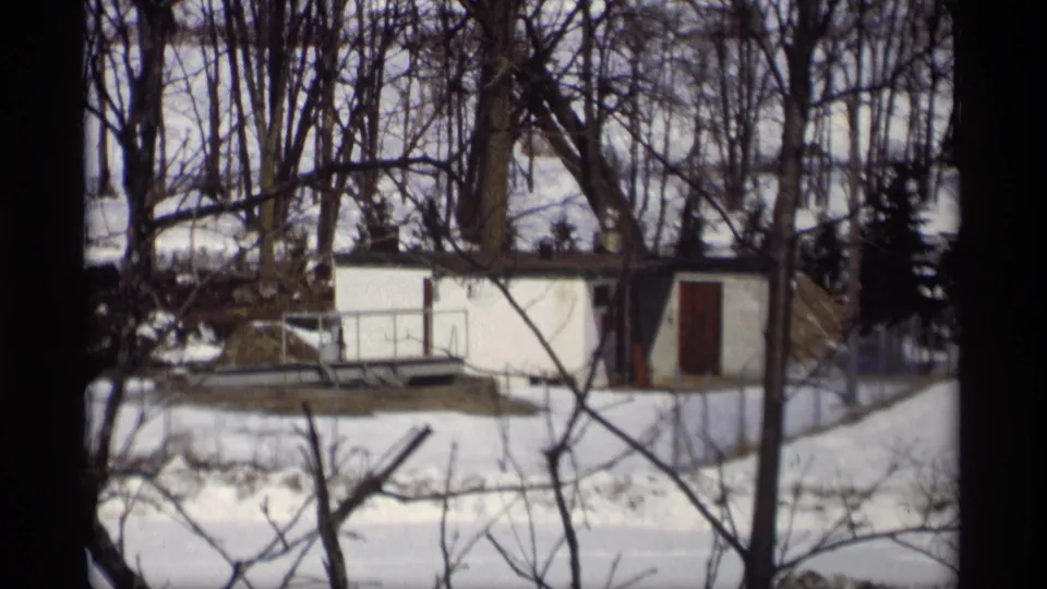 Madison, Wisconsin winter home-movie view of a white shed, leafless trees, snow, and tangled foreground branches.