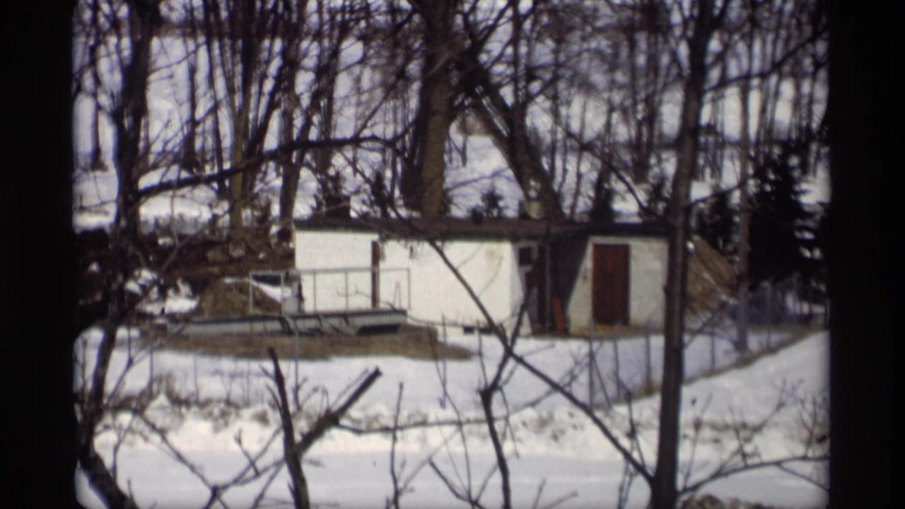 White shed beyond bare branches and melting snow in a winter yard.