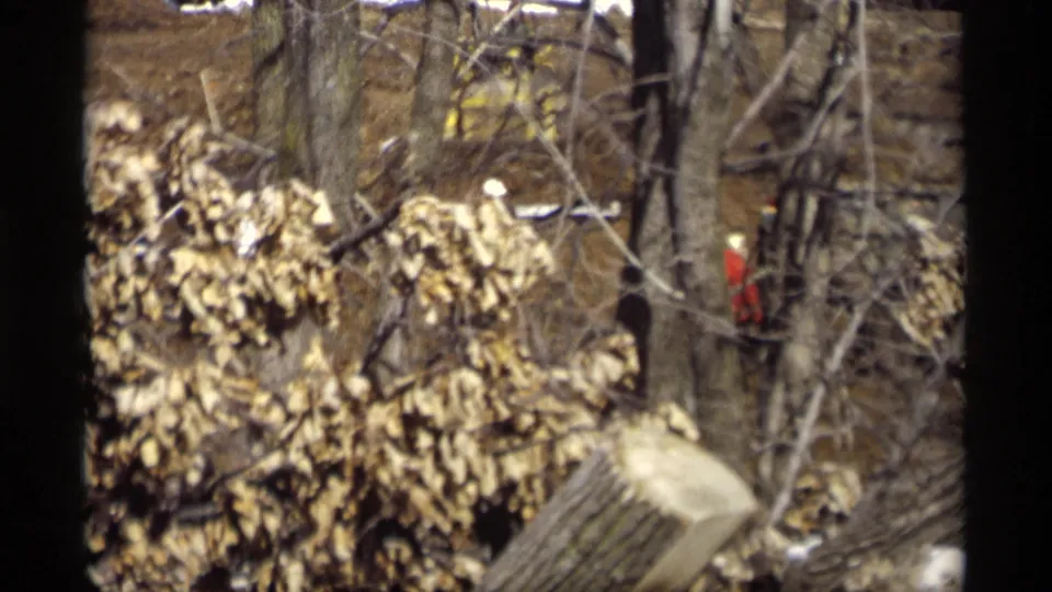 1966 home-movie view in Madison, Wisconsin showing brush, tree trunks, snow patches, and a small red object near the yard.