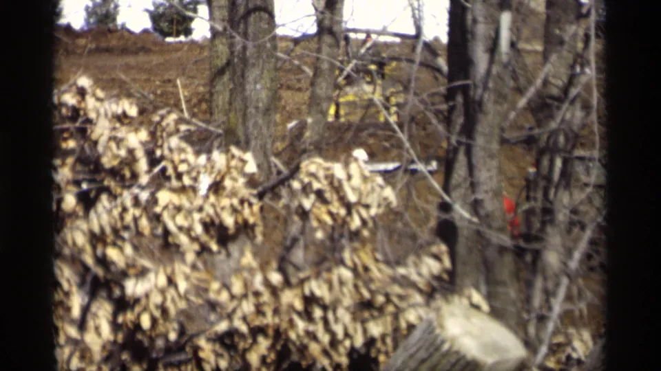 Madison, Wisconsin 8mm frame from 1966 showing winter brush, bare trees, and melting snow in a quiet yard.