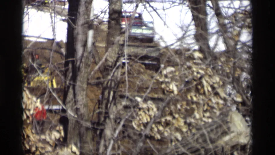 1966 Madison, Wisconsin 8mm frame with a yellow vehicle partially obscured by tree trunks, branches, leaves, and firewood.
