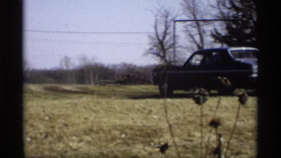 The blue sedan is seen in side profile beyond the driveway area, with grass, bare trees, and open sky in the frame.