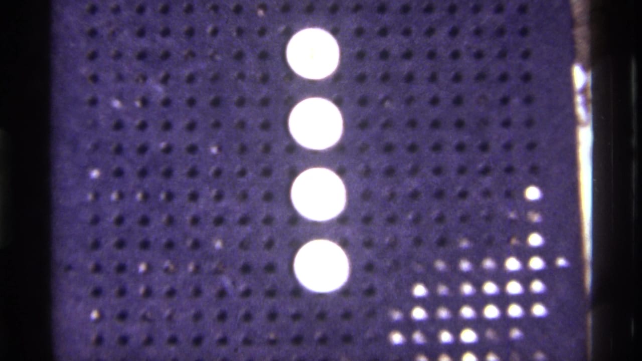 Perforated dark film edge beside a white Christmas tree in a curtained room.