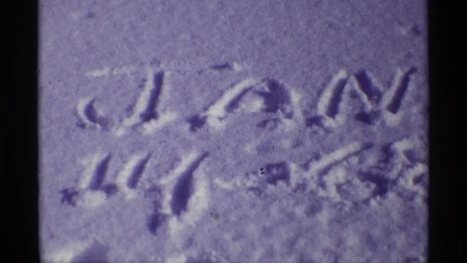 Close view of handwritten marks in snow that appear to read Jan 14, 1968 in the home-movie metadata context.