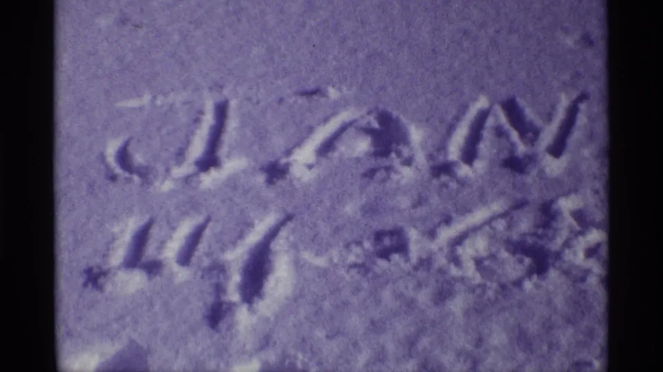 Soft 8mm close-up of the date-like writing in snow, associated by metadata with January 14, 1968.