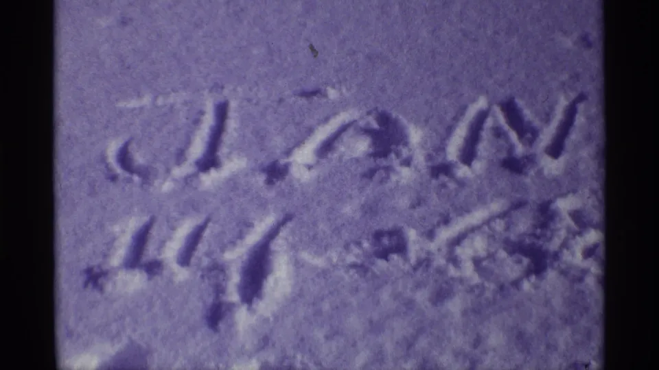 Final soft-focus frame shows the handwritten snow date area with purple-shifted 8mm color and visible grain.