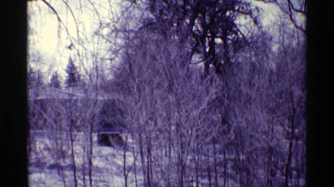 Bare winter trees and snow with power lines and a distant roofline.
