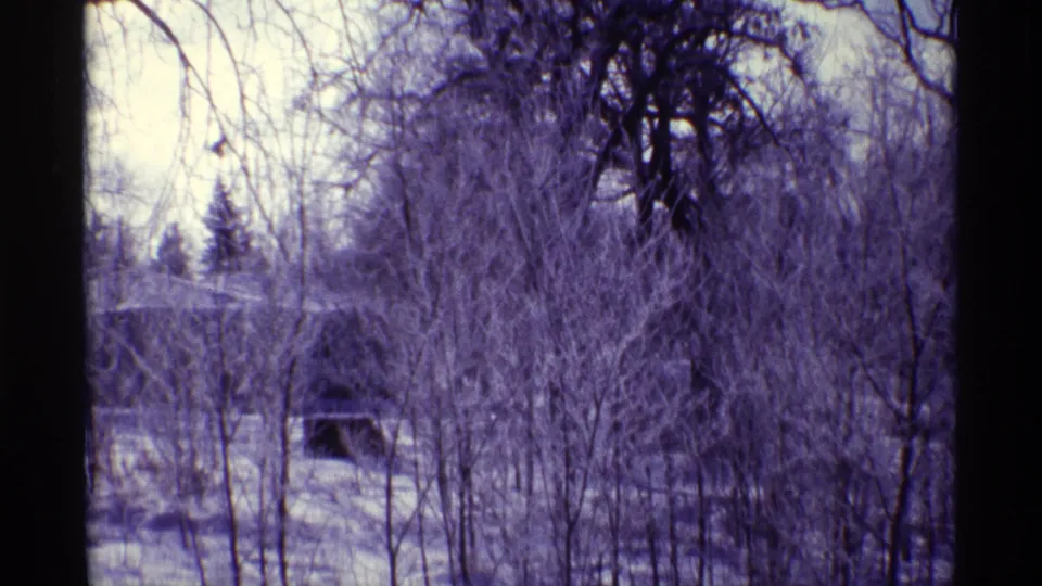 1968 Chicago 8mm frame showing bare trees, snow-covered ground, overhead power lines, and a partially hidden residential roofline.