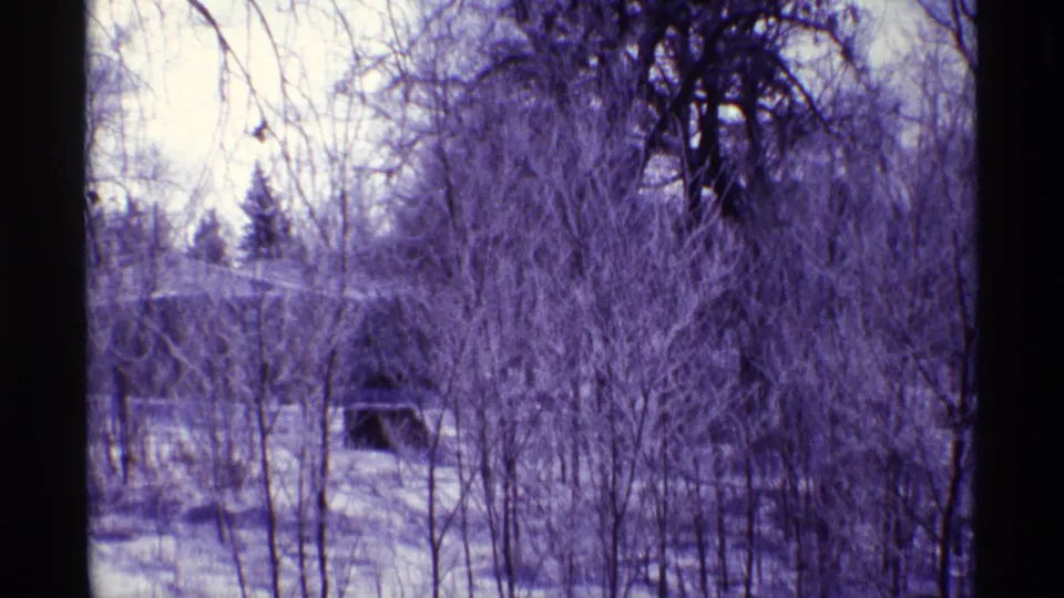 1968 Chicago 8mm frame with dense winter branches, snow on the ground, overhead power lines, and a roofline partly concealed by trees.