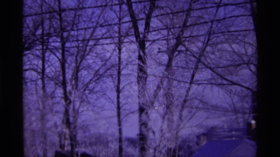 1968 Chicago 8mm frame showing bare trunks, overhead utility lines, snow, and a dark roof edge under a strong purple film cast.