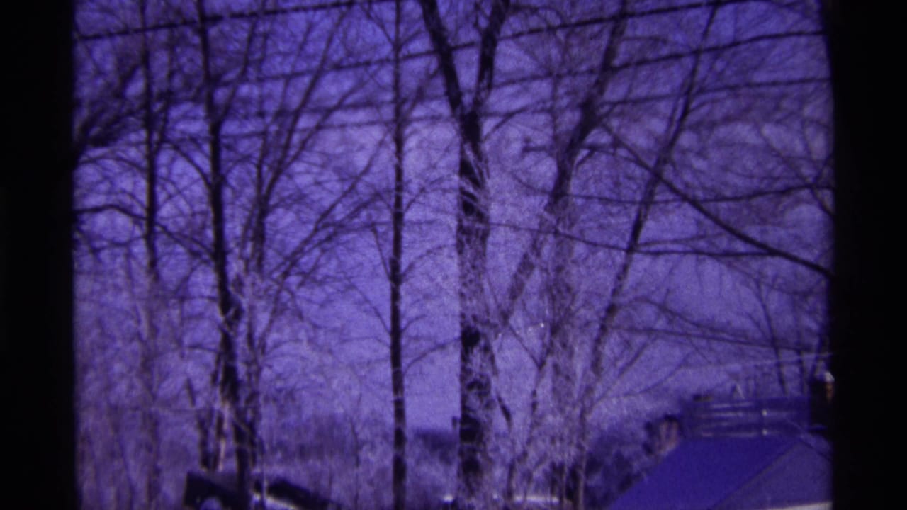 Bare winter trees and overhead wires against a blue-purple sky, with snow visible below.